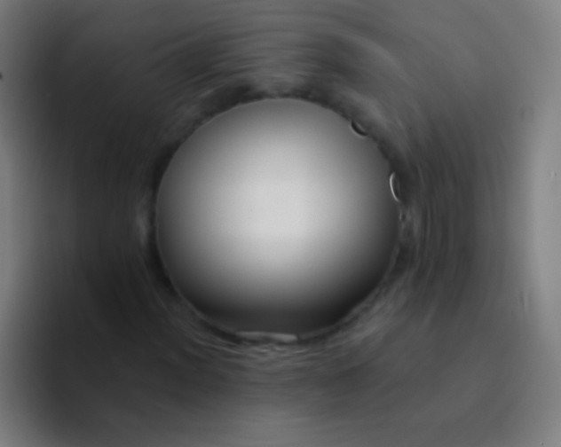 X0000094351012200711162025