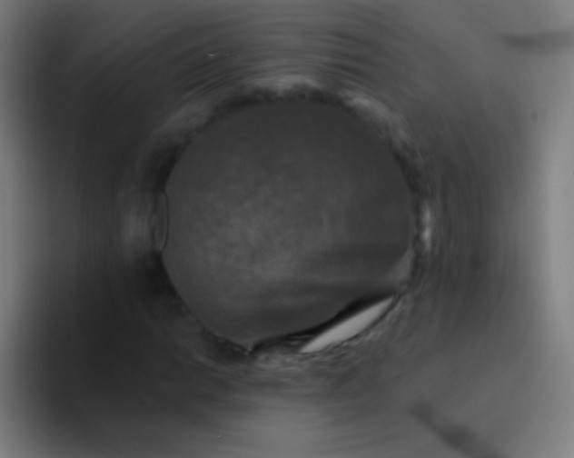 X0000094351014200711162025