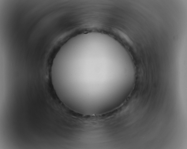 X0000094351016200711162025