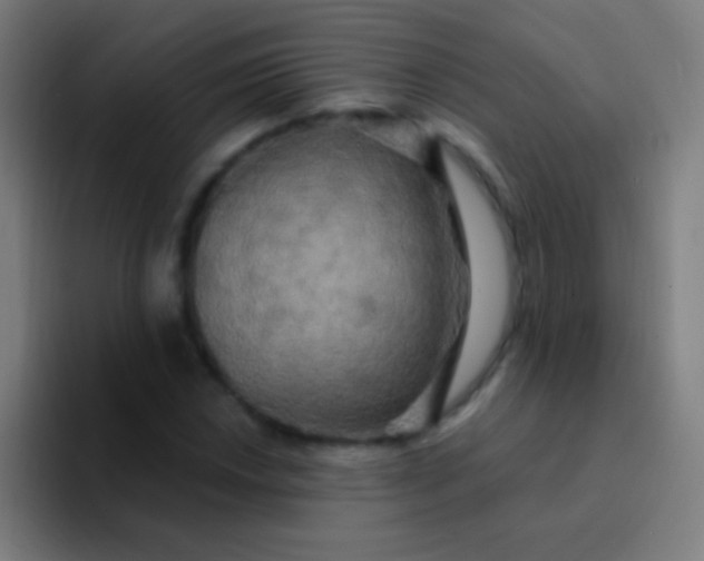 X0000094351018200711162025