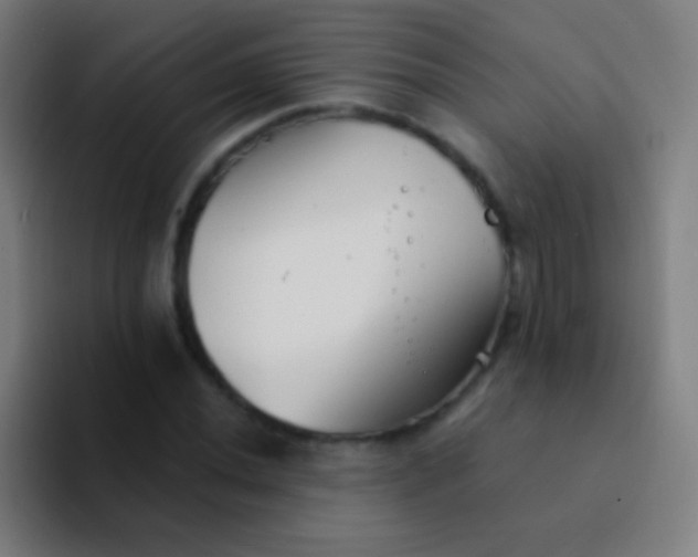 X0000094351020200711162025