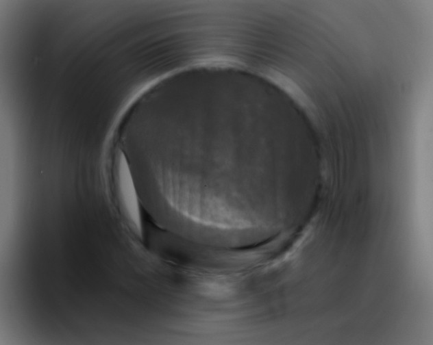 X0000094351022200711162025