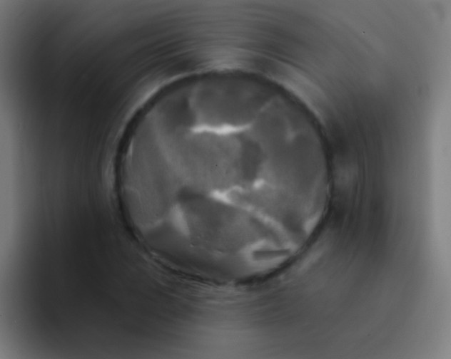 X0000094351023200711162025