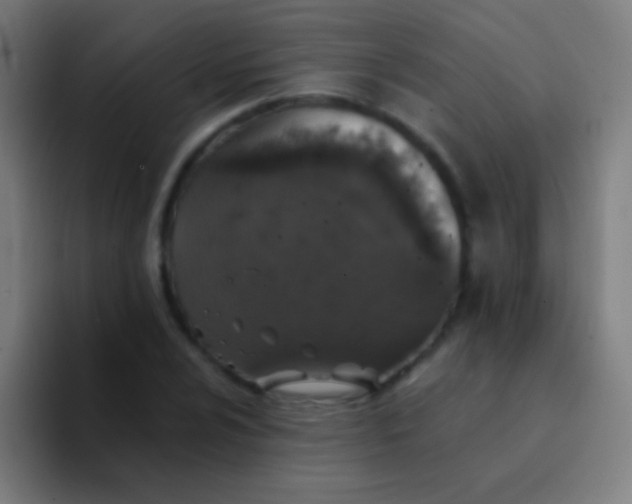 X0000094351024200711162026