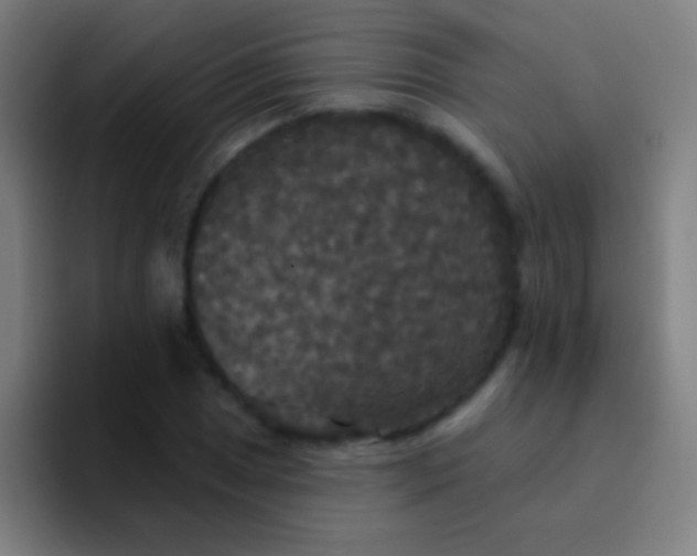 X0000094351025200711162026