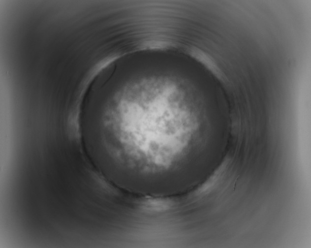 X0000094351026200711162026