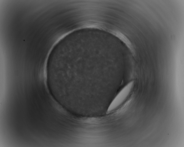 X0000094351028200711162026