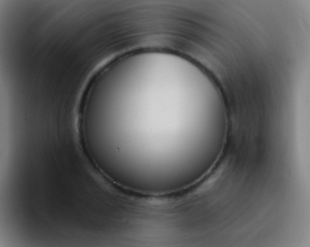 X0000094351029200711162026