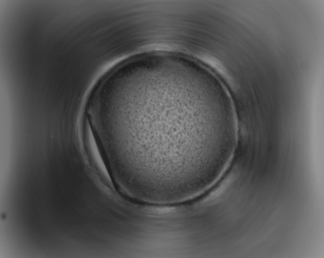 X0000094351030200711162026