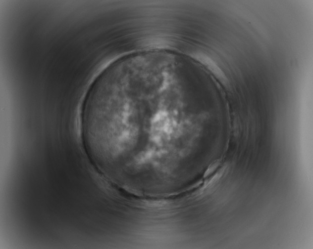 X0000094351031200711162026