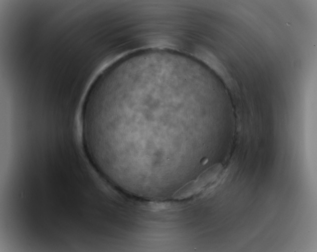 X0000094351032200711162026