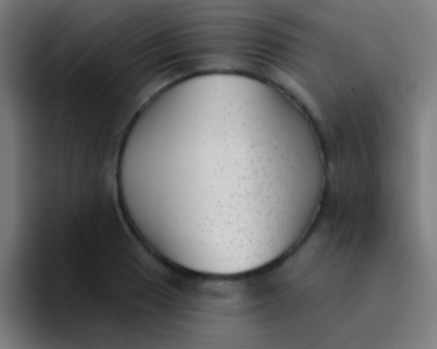 X0000094351033200711162026