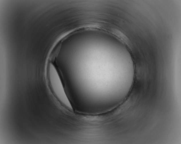 X0000094351036200711162026