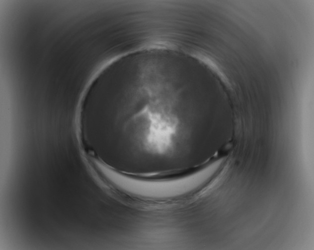 X0000094351038200711162026