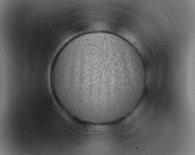 X0000094351039200711162026