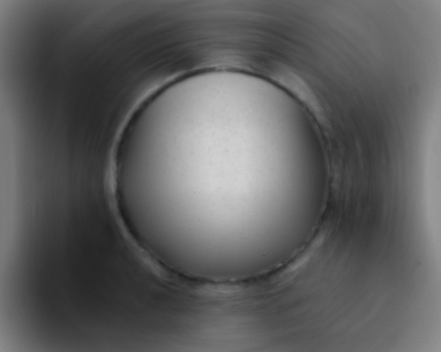 X0000094351040200711162026