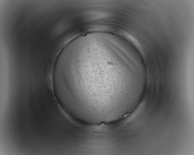 X0000094351041200711162026