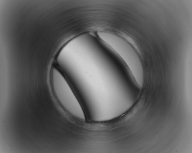 X0000094351042200711162026