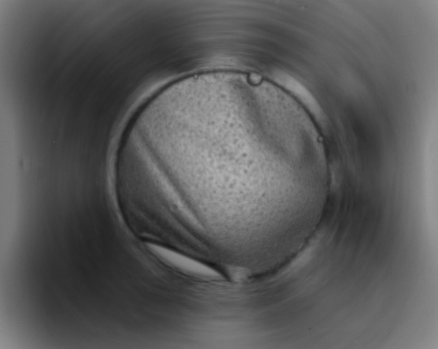 X0000094351043200711162026