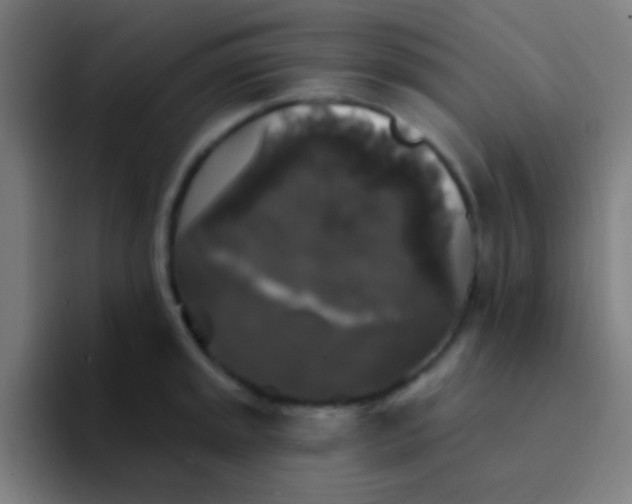 X0000094351045200711162026