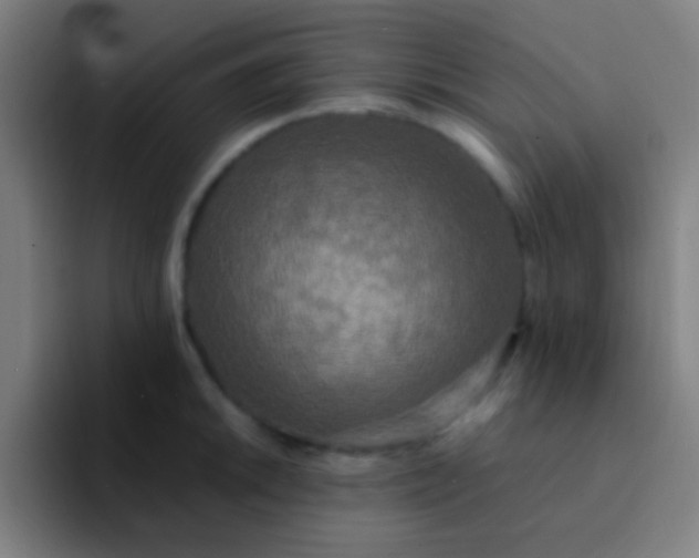 X0000094351046200711162026