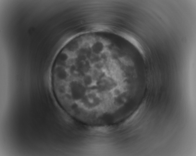 X0000094351047200711162026