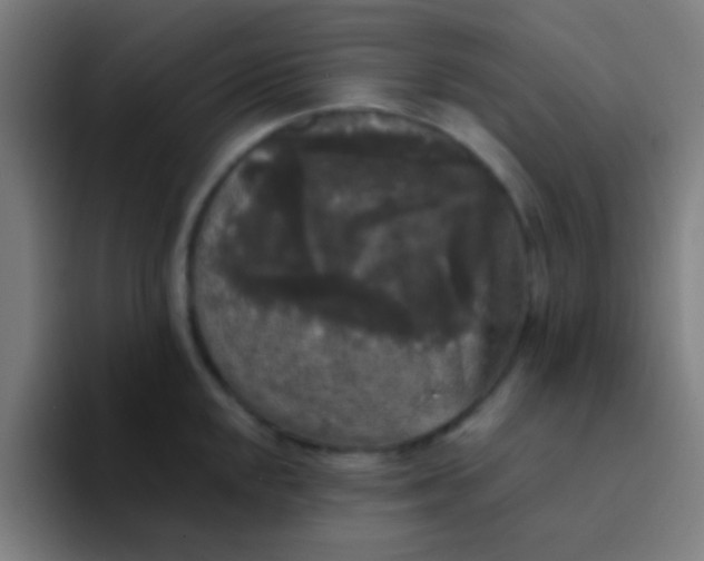 X0000094351048200711162026