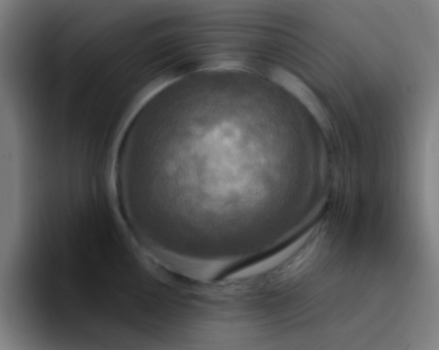 X0000094351050200711162026