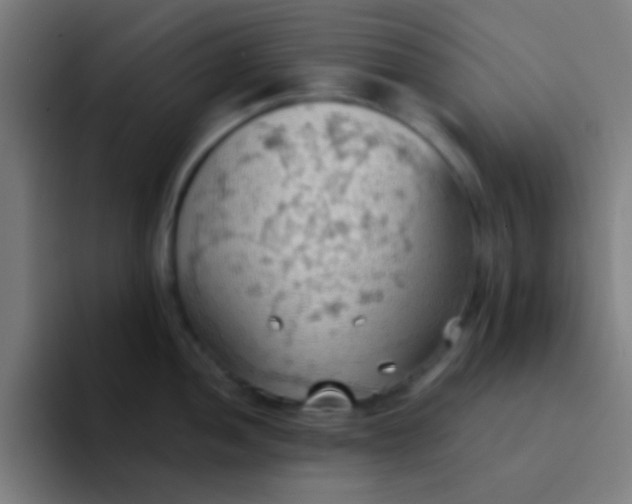 X0000094351052200711162026