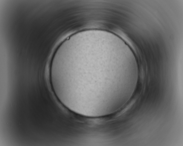 X0000094351053200711162026