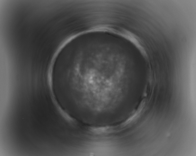 X0000094351054200711162026