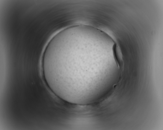 X0000094351056200711162026