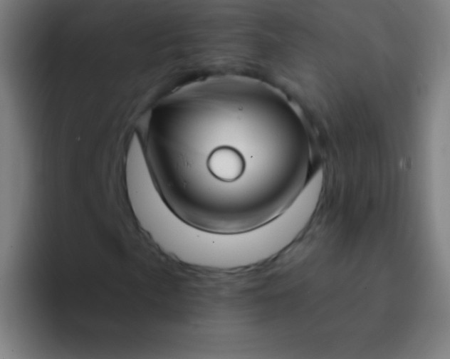 X0000094351057200711162025