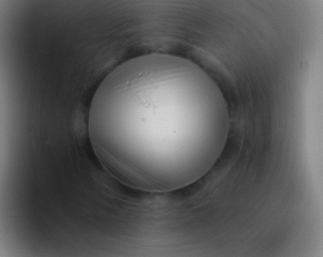 X0000094351058200711162025