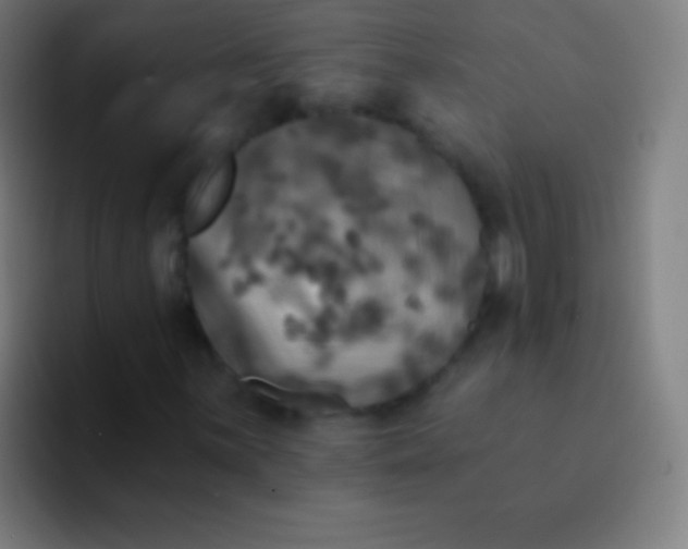 X0000094351059200711162025