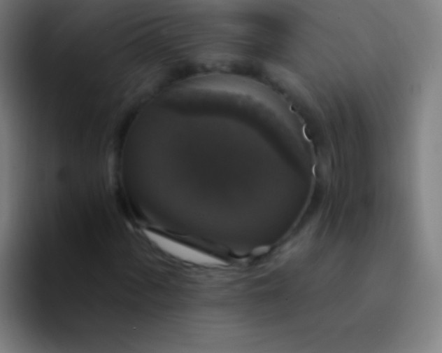 X0000094351060200711162025