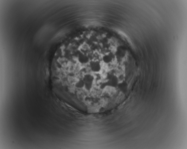 X0000094351063200711162025