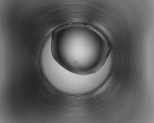 X0000094351065200711162025