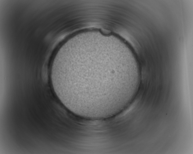 X0000094351067200711162025