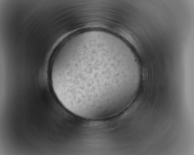 X0000094351068200711162025