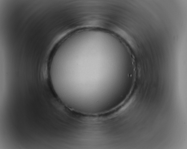 X0000094351069200711162025