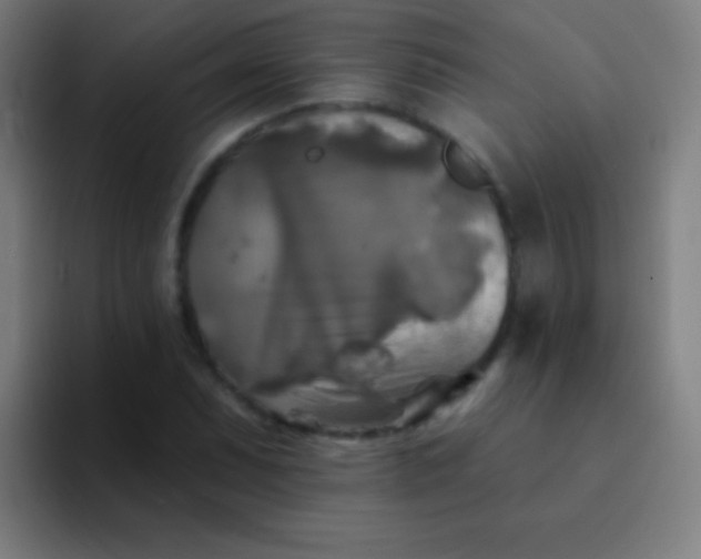 X0000094351071200711162025