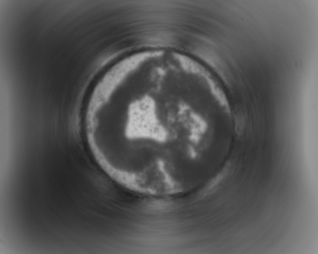 X0000094351074200711162025