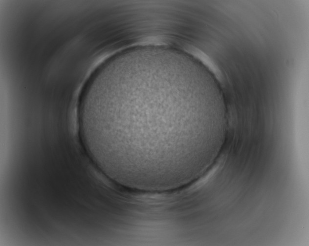 X0000094351075200711162025