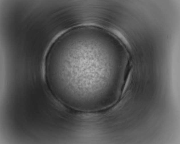 X0000094351076200711162025