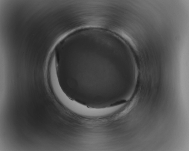 X0000094351077200711162025