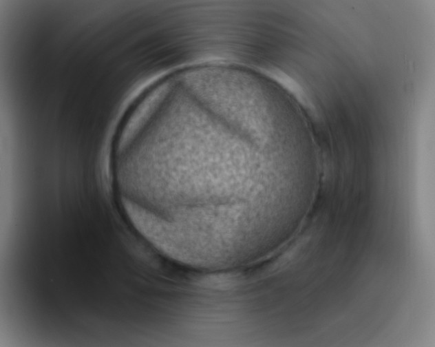 X0000094351078200711162025