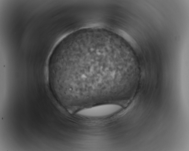 X0000094351079200711162025