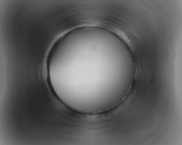 X0000094351080200711162025