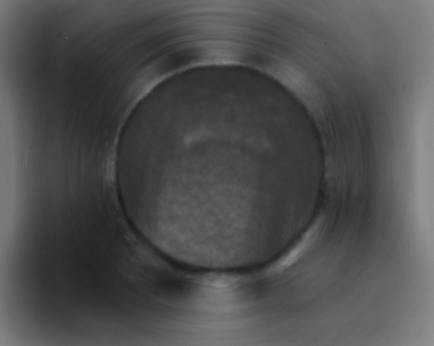 X0000094351081200711162025